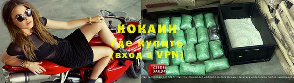 ПСИЛОЦИБИНОВЫЕ ГРИБЫ Абаза