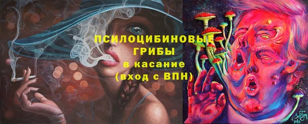 ПСИЛОЦИБИНОВЫЕ ГРИБЫ Абаза