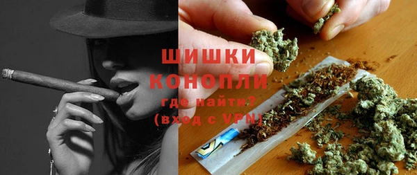 ПСИЛОЦИБИНОВЫЕ ГРИБЫ Абаза