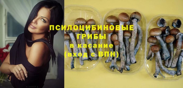 ПСИЛОЦИБИНОВЫЕ ГРИБЫ Абаза