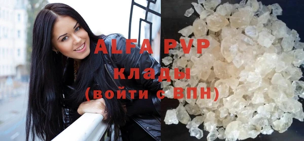 ПСИЛОЦИБИНОВЫЕ ГРИБЫ Абаза